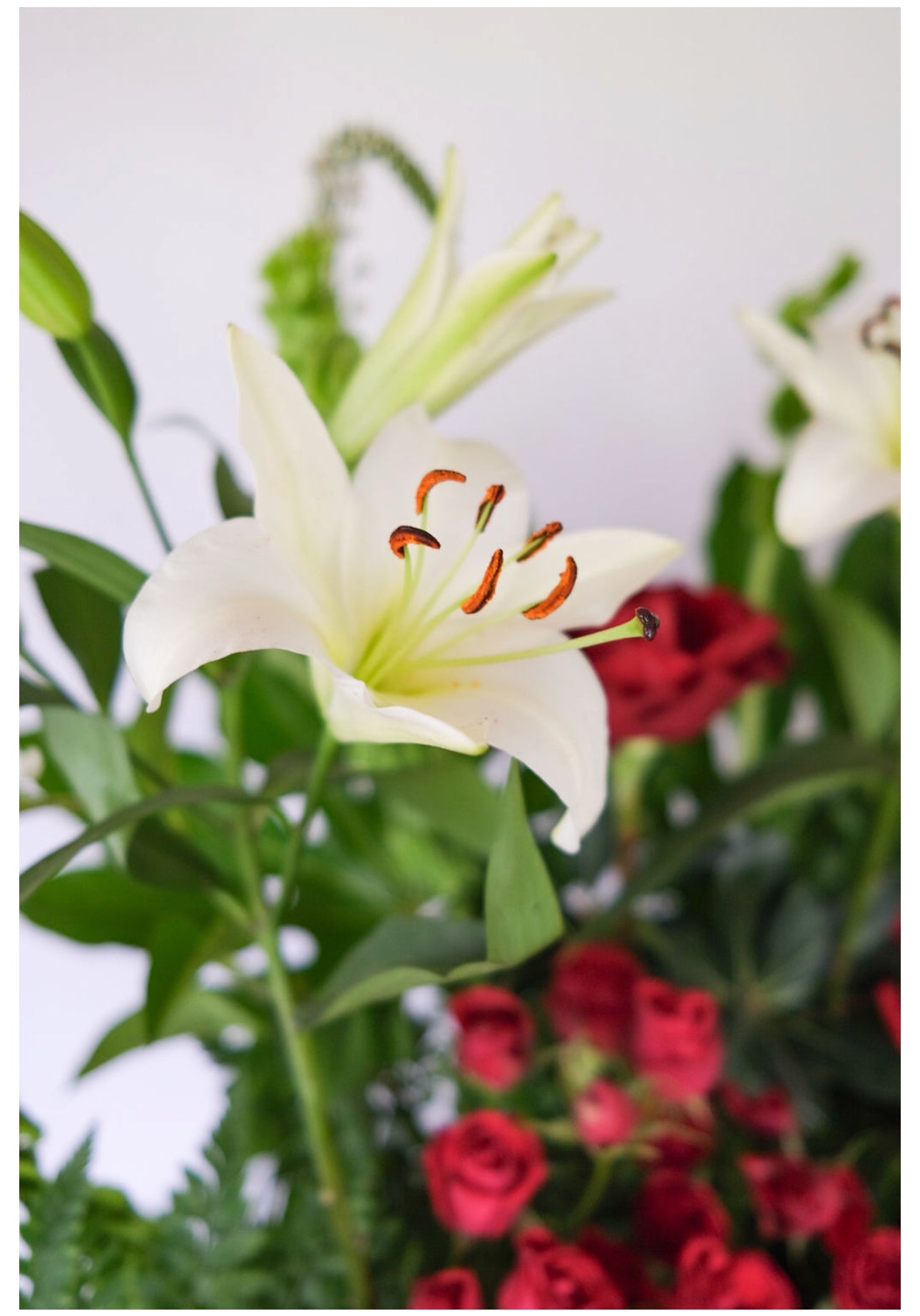 Sympathy, Memorial, Urn Arrangements, Casket Sprays